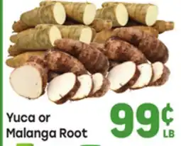 Tony’s Fresh Market Yuca or Malanga Root offer