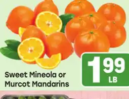 Tony’s Fresh Market Sweet Mineola or Murcot Mandarins offer