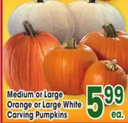 Jewel-Osco Medium or Large Orange or Large White Carving Pumpkins offer