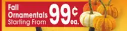 Jewel-Osco Fall Ornamentals offer