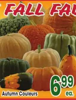 Jewel-Osco Autumn Couleurs offer