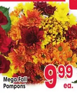 Jewel-Osco Mega Fall Pompons offer