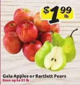 Winn Dixie Gala Apples or Bartlett Pears offer