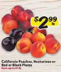 Winn Dixie California Peaches, Nectarines or Red or Black Plums offer