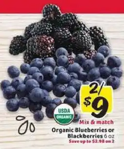 Winn Dixie Organic Blueberries or Blackberries offer
