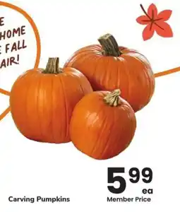 Albertsons Carving pumpkins offer
