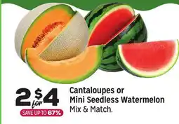 Grocery Outlet Cantaloupes or Mini Seedless Watermelon offer