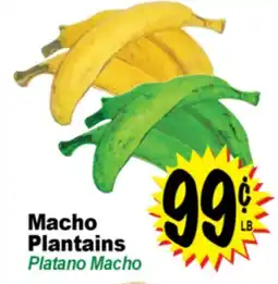 Superior Grocers Macho Plantains offer