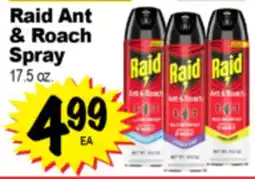 Superior Grocers Raid Ant & Roach Spray offer