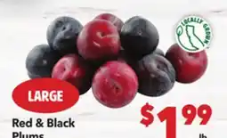 Vallarta Supermarkets Red & Black Plums offer