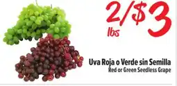 El Super Red or Green Seedless Grape offer