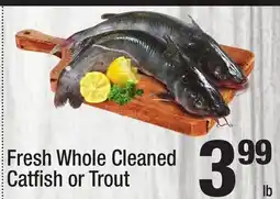 Super King Markets Fresh Whole Cleaned Catfish or Trout offer