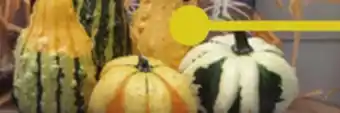 Menards 5-Pack Gourds offer