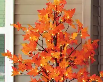 Menards 6'H LED Maple Tree offer