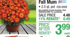 Menards Fall Mum offer