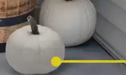 Menards White Pumpkin offer