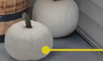 Menards White Pumpkin offer