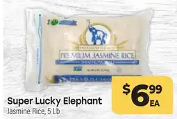 Tony’s Fresh Market Super Lucky Elephant offer