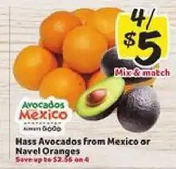 Winn Dixie Hass Avocados from Mexico or Navel Oranges offer