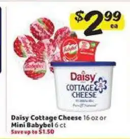 Winn Dixie Daisy Cottage Cheese or Mini Babybel offer