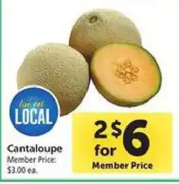 Safeway Cantaloupe offer