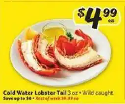 Winn Dixie Cold Water Lobster Tail offer