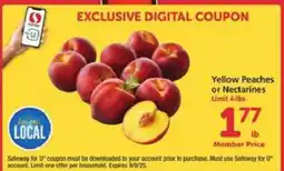 Safeway Yellow Peaches or Nectarines offer