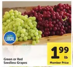 Safeway Green or Red Seedless Grapes offer