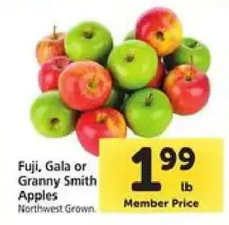 Safeway Fuji, Gala or Granny Smith Apples offer