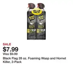 Tractor Supply Company Black Flag 28 oz. Foaming Wasp and Hornet Killer, 2-Pack offer