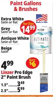 Ocean State Job Lot Paint Gallons & Brushes offer