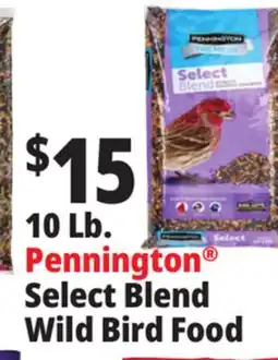 Ocean State Job Lot Pennington Premium Select Blend Bird Seed 10 lb offer