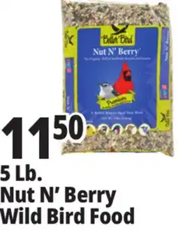 Ocean State Job Lot Better Bird Premium Nut N' Berry Bird Food 5 lbs offer