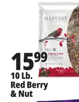 Ocean State Job Lot Harvest Seed & Supply Red Berry & Nut Wild Bird Food 10 lb offer