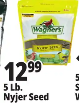 Ocean State Job Lot Wagner's Premium Nyjer Seed 5 lbs offer