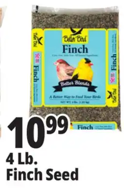 Ocean State Job Lot Better Bird Finch Bird Food 4 lbs offer