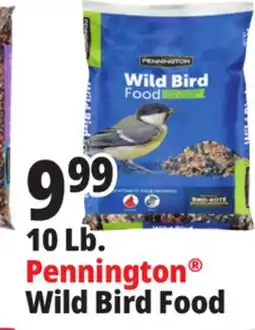 Ocean State Job Lot Pennington Wild Bird Food 10 lbs offer