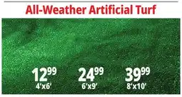 Ocean State Job Lot All-Weather Artificial Turf offer
