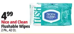 Ocean State Job Lot Nice'n Clean Flushable Wipes 42 ct offer