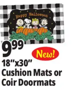 Ocean State Job Lot 18x30 Cushion Mats or Coir Doormats offer