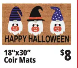 Ocean State Job Lot 18x30 Coir Mats offer