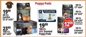 Ocean State Job Lot Puppy Pads offer