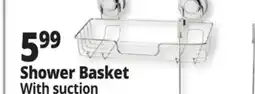Ocean State Job Lot Shower Basket offer