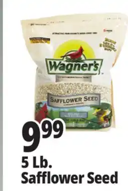Ocean State Job Lot Wagner's Safflower Seed Deluxe Wild Bird Food offer