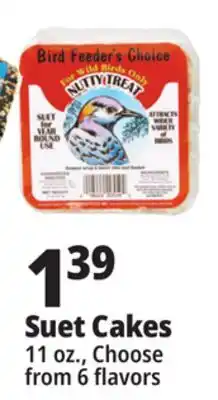 Ocean State Job Lot Bird Feeder's Choice High Energy Suet 11 oz offer