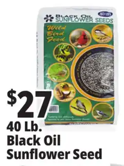 Ocean State Job Lot Black Oil Sunflower Seeds 40 lbs offer