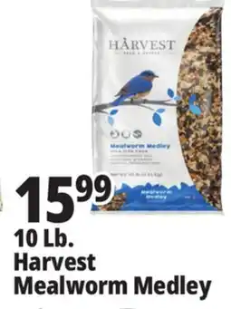 Ocean State Job Lot Harvest Seed & Supply Mealworm Medley Wild Bird Food 10 lb offer