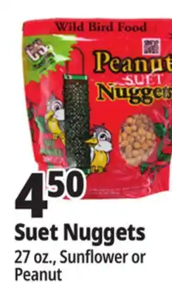 Ocean State Job Lot C&S Sunflower Suet Nuggets 27 oz offer