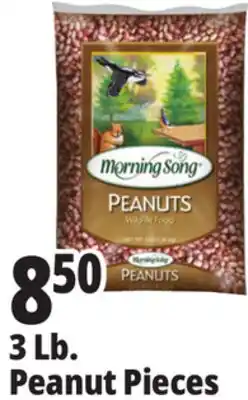 Ocean State Job Lot Audubon Peanut Pieces Bird Seed 3lb offer