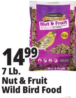 Ocean State Job Lot Pennington Ultimate Nut & Fruit Blend Wild Bird Seed 7 lbs offer